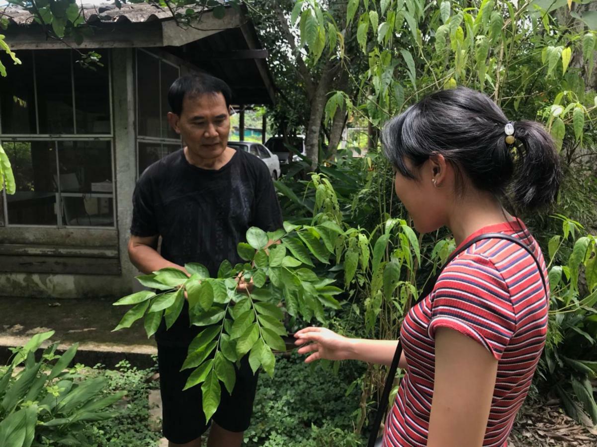 Bann Rai Klai Weang Homestay Mae Taeng Exterior foto